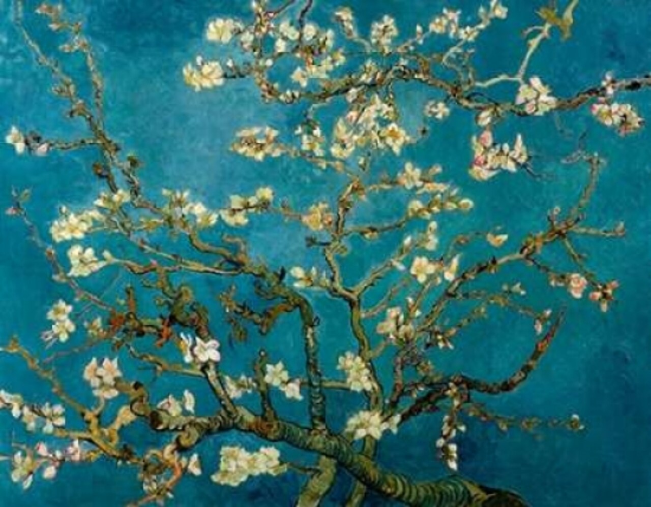Blossoming Almond Tree Poster Print by  Vincent Van Gogh - Item # VARPDX374611